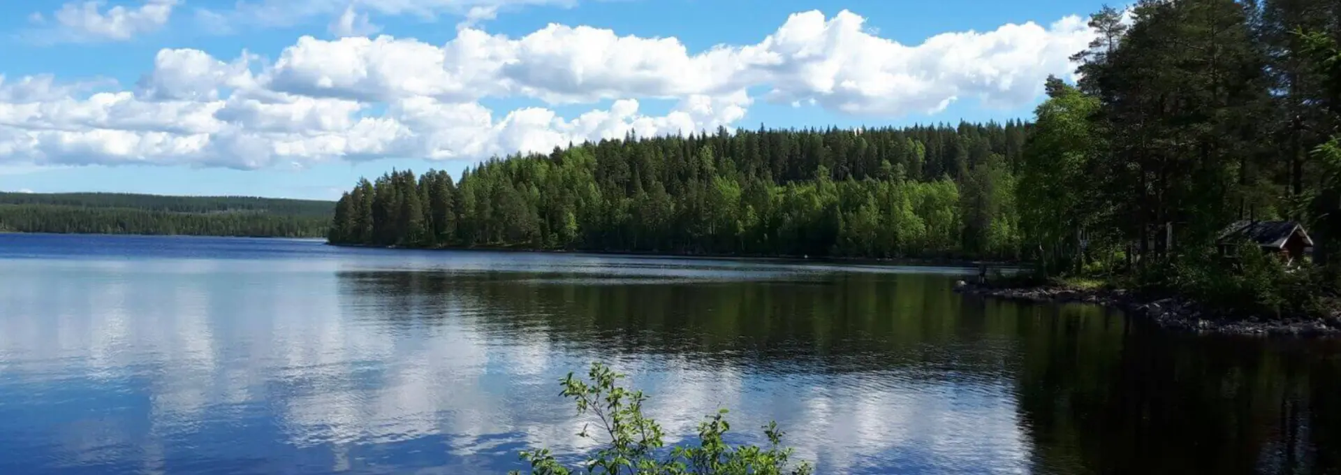 Über Laxsjon Plants