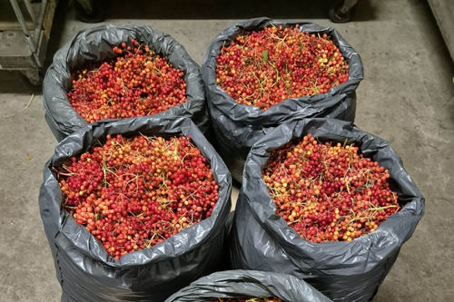 Autochtoon plantmateriaal als motor voor de toekomst