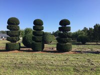 Taxus Baccata Weddingcake