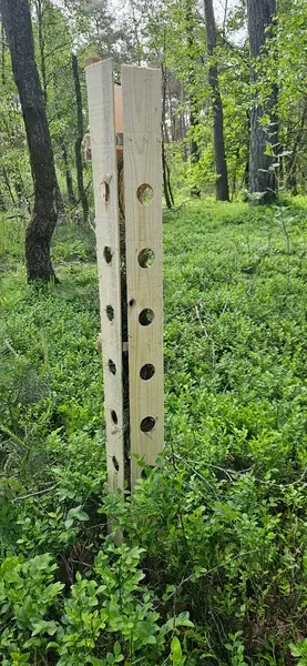 Tree Protection