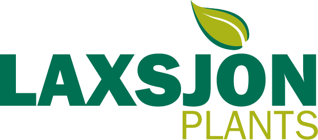 Laxsjon Plants | Excellent service and high quality